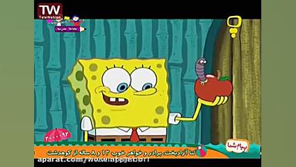 باب اسفنجی (صدف كوچولو)