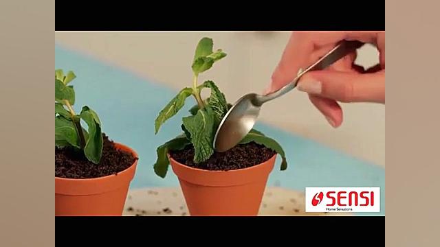 فیلم آموزشی تهیه موس شکلاتی به...