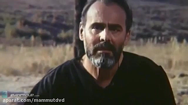 میکس فیلم ایرانی حیوا (Hive)