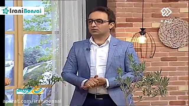 6 آموزش بونسای نحوه ساخت بونسا...