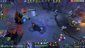 Miracle Carry with AA  Gh Supp...