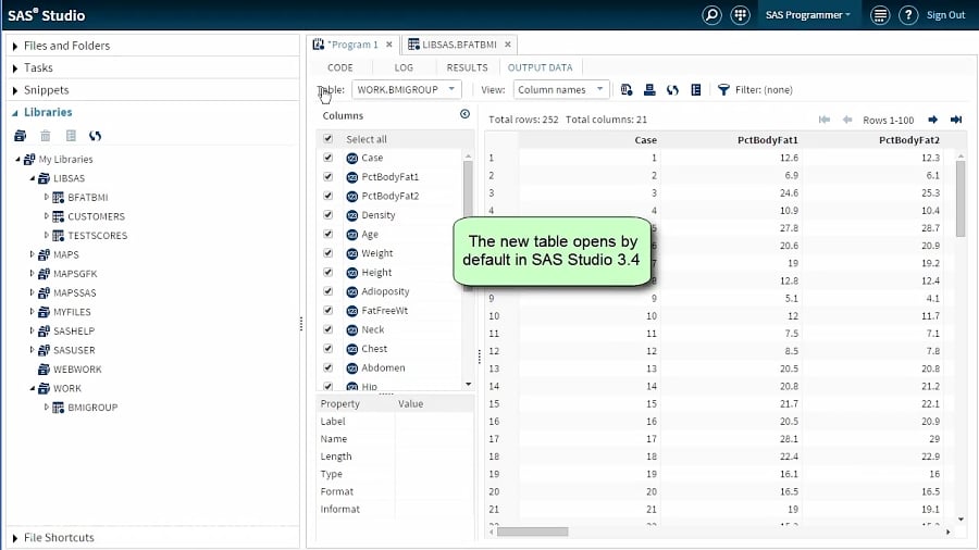 sas conditional variable assignment