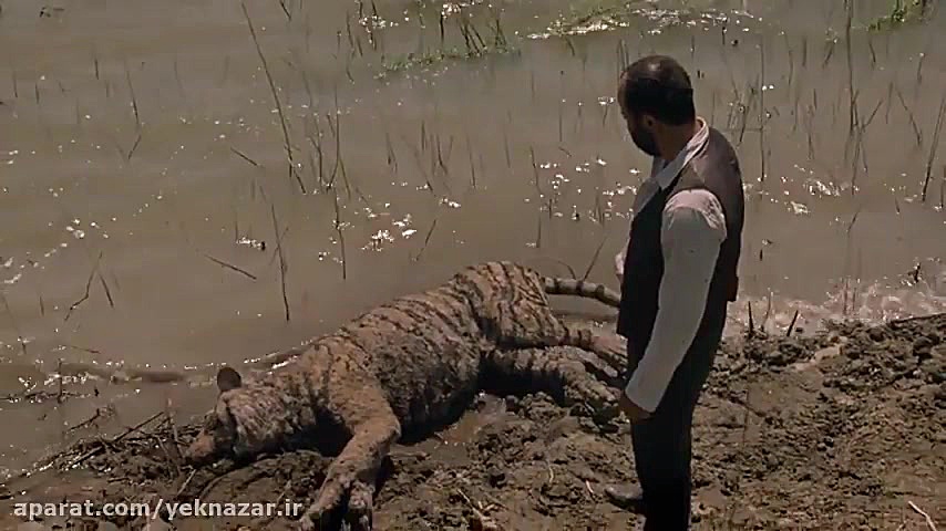 Westworld Season 2 (سریال دنیا...