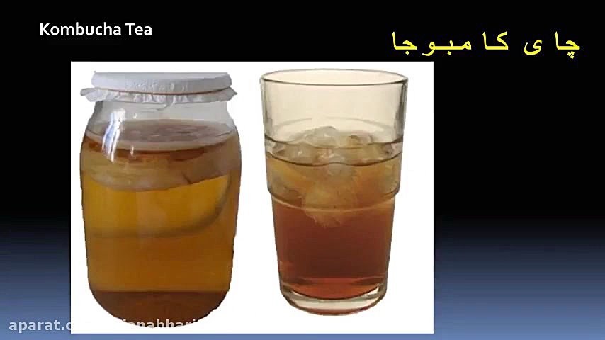 چای کامبوجا معجون لاغری و درما...