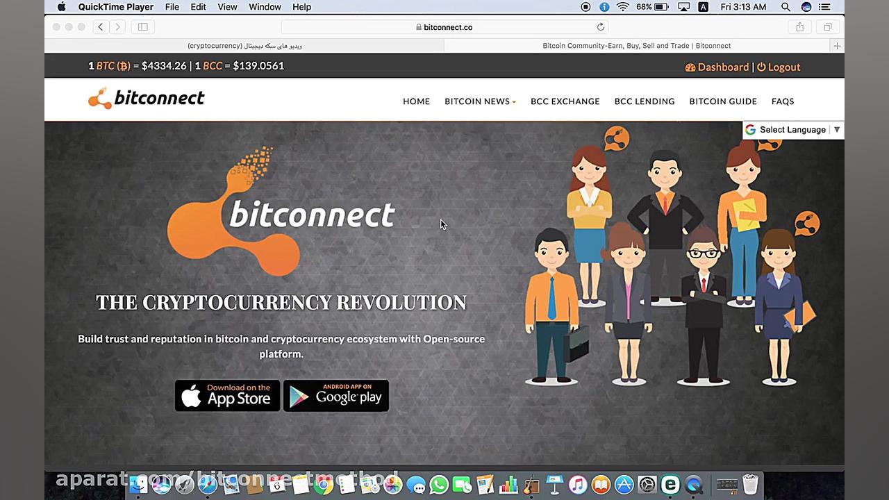 ۸۲ دلار پس از ۲ هفته = سرمایه...