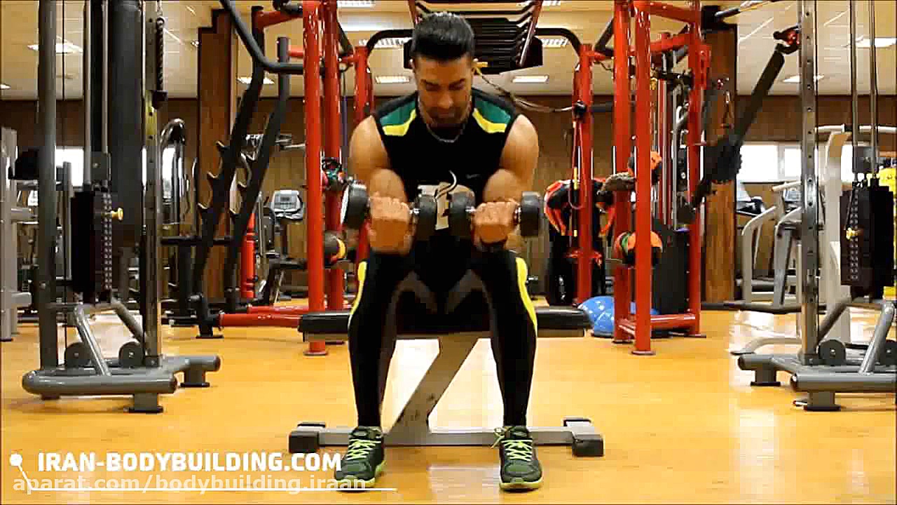 ساعد دمبل نشسته کف دست بالا