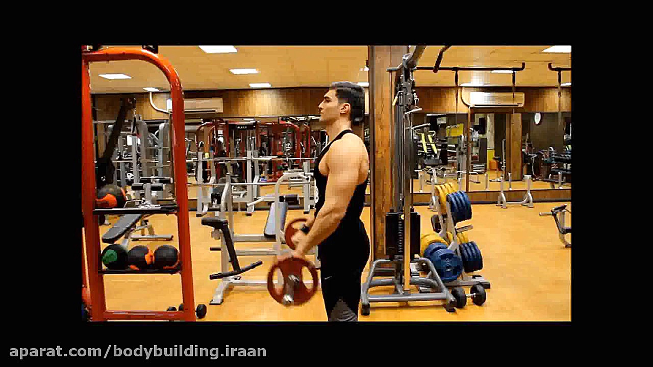 جلو بازو هالتر مچ برعکس ایستاد...