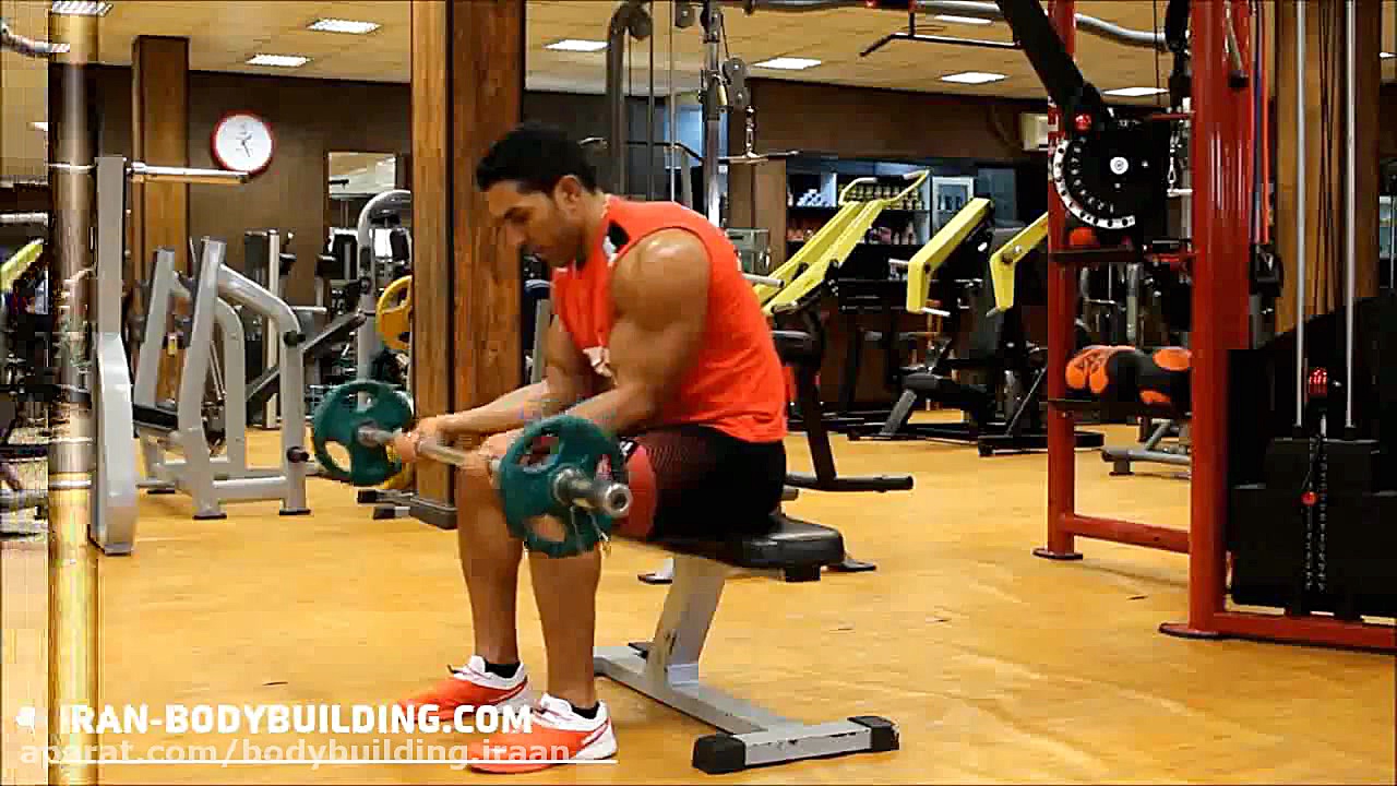 ساعد هالتر نشسته کف دست بالا