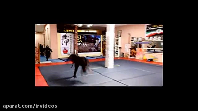 تکاور های زن نیروی انتظامی