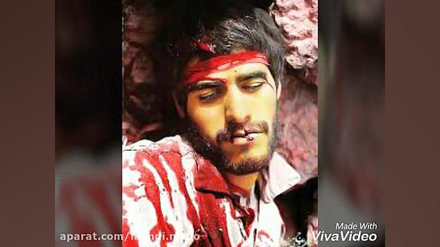 مدافعین حرم  مهدی نیکو