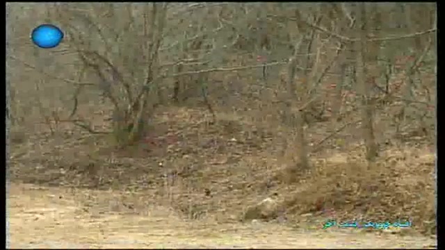 امپراطور جومونگ به دنبال بانو...