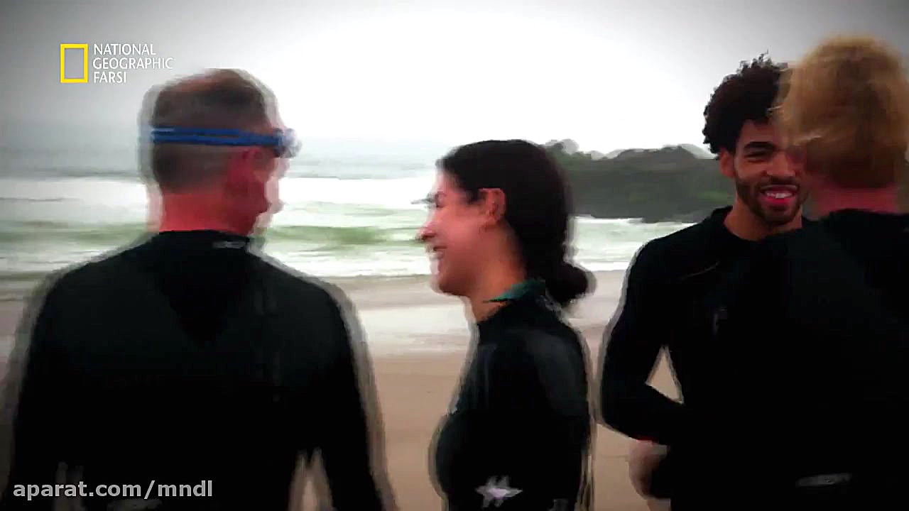 وقتی کوسه حمله میکند با دوبله...