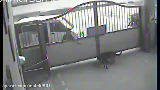 چگونه روتوییلر ضعیف من در چین...