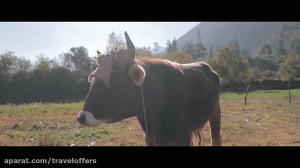 تور آمریکای جنوبی | پرو