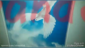 الوند شاران مجری حرفه ای نصب س...