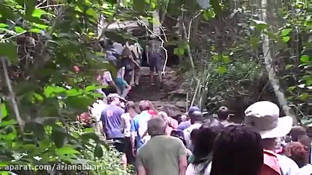 میگن ترس برادر مرگ است  حالا ج...