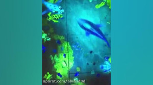 الوند شاران مجری آموزش حرفه ای...