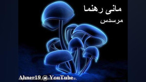 Mani Rahnema  mercedes موسیقی...