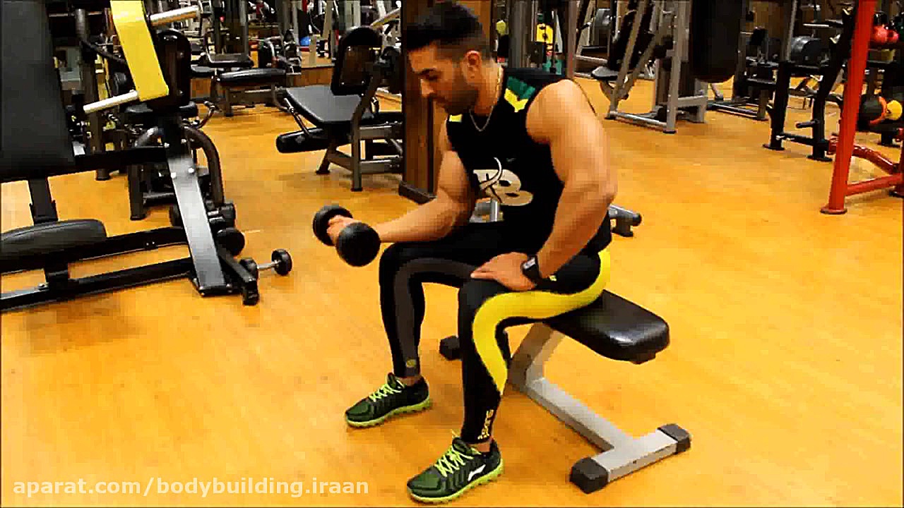 ساعد دمبل تک دست نشسته کف دست...