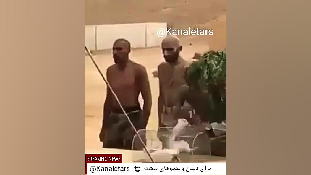 مسابقه خوردن حیوانات زنده