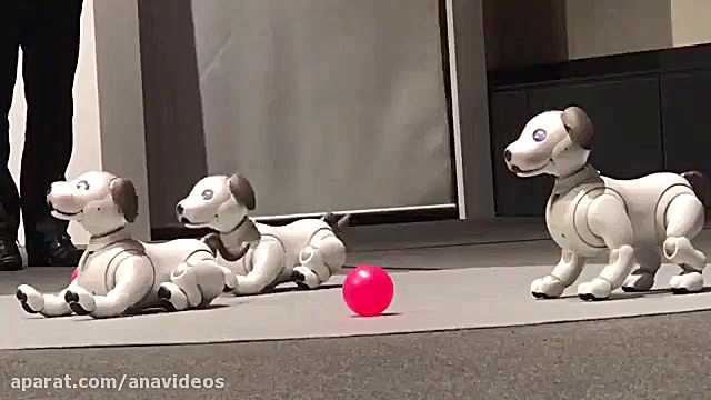 سگ رباتیک سونی به بازار می آید