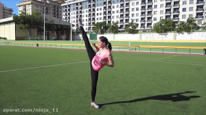 این است هنرهای رزمی