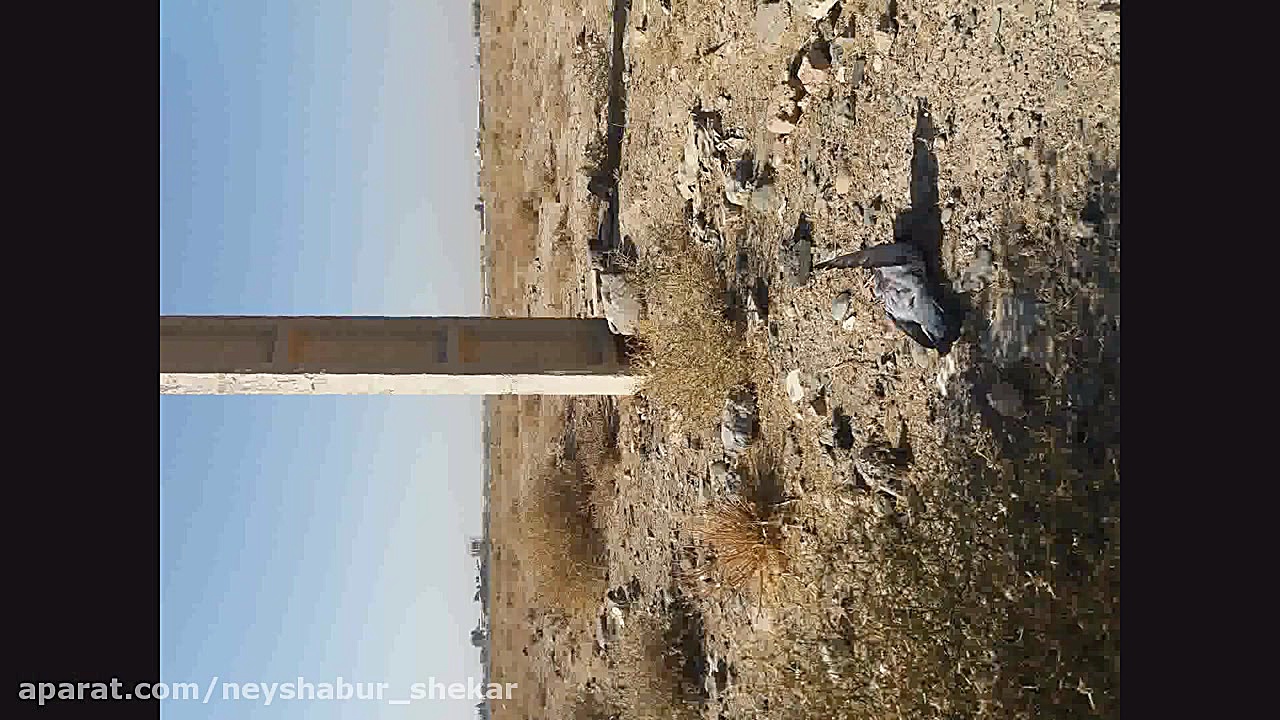 شکار کبوتر با سلاح پانچر مکسی