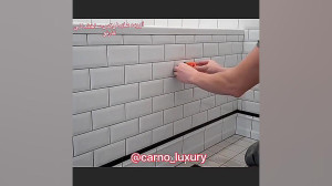 دریچه بازدید سرویس بهداشتی