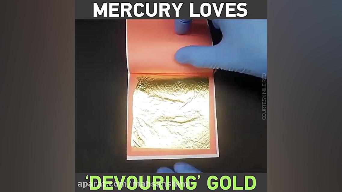 حل شدن ورقه های طلا در جیوه