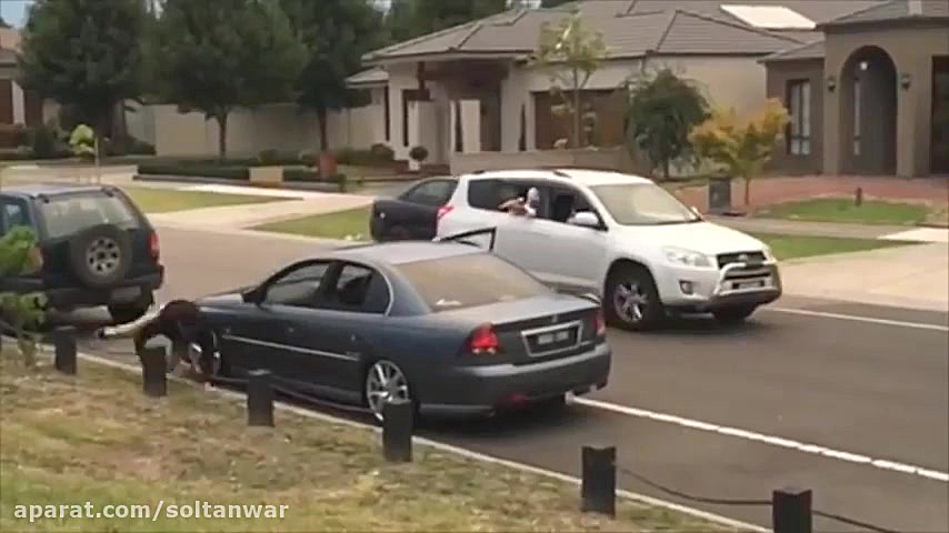 دوربین مخفی داعش