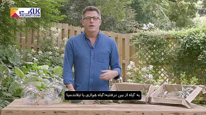 آموزش پرورش گیاهان هوازی