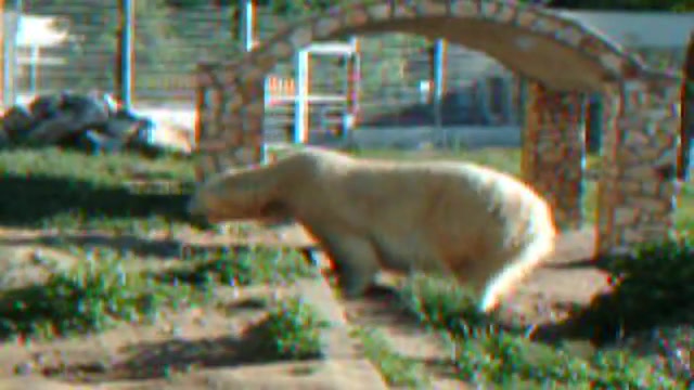 ای خدا اااا غلط کردم زن گرفتم...