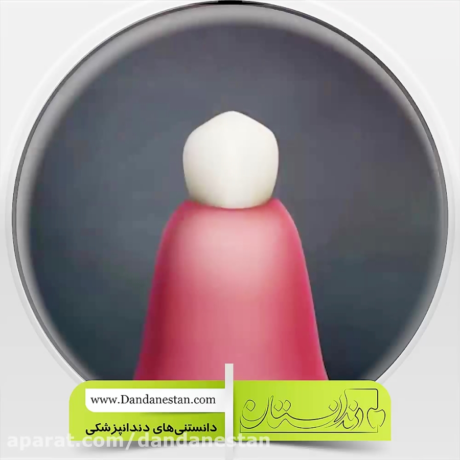 انیمیشن آناتومی دندان | دندانستان