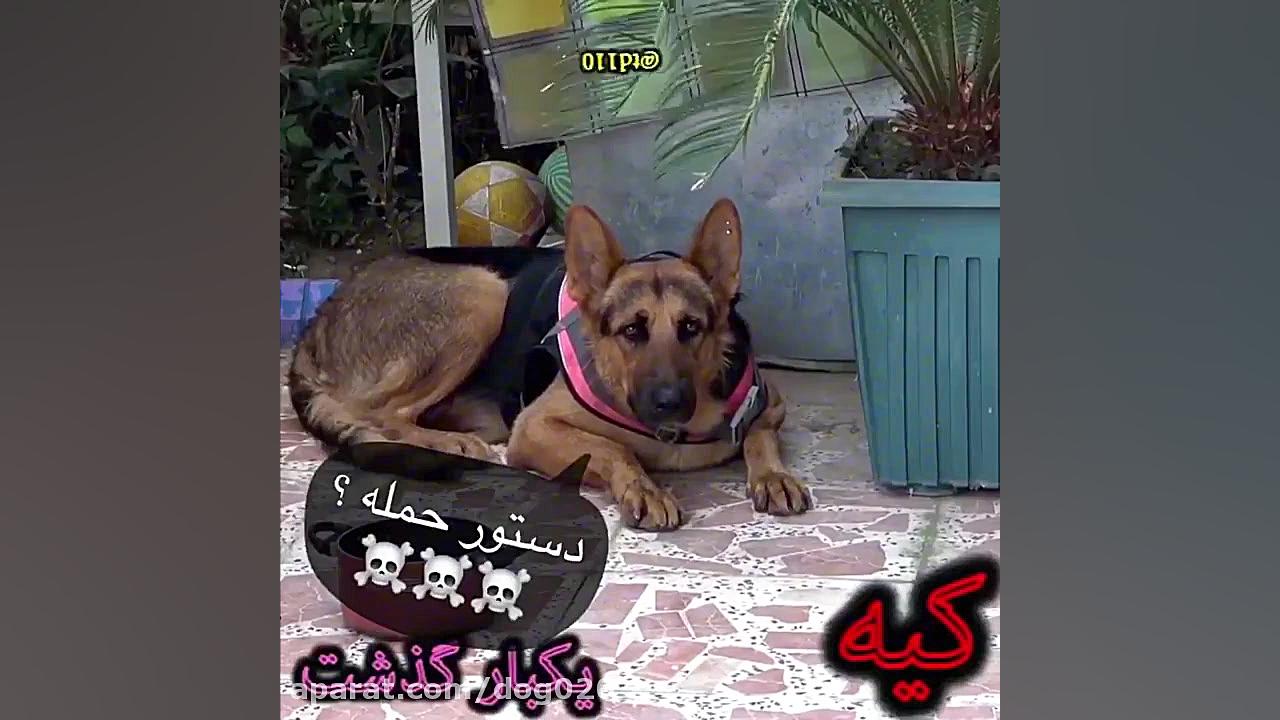 پارت دوم:وای وای وای عالی بود...