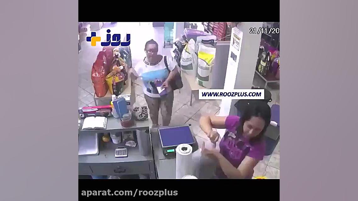 دزدیدن پول توسط یک پرنده