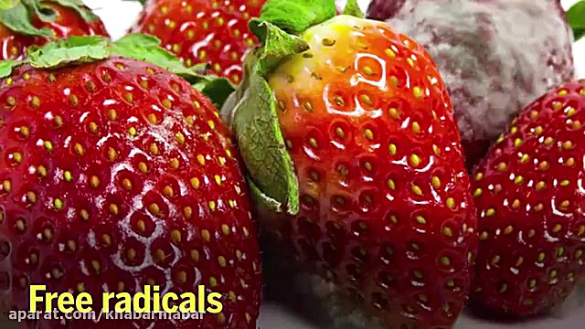 Smart nano Expiry of food(انقض...