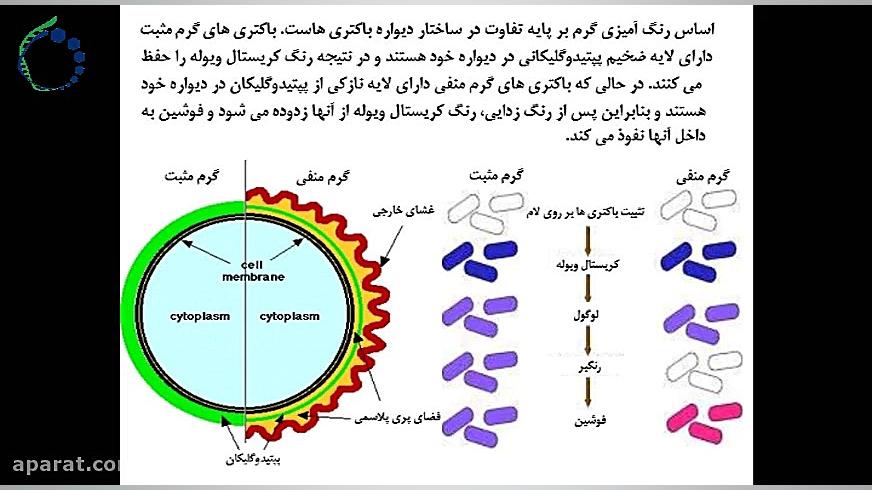 رنگ آمیزی گرم (فارسی) Gram sta...