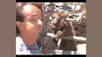 بز زبون نفهم