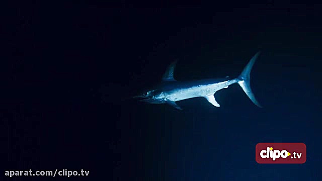 قسمت دوم Blue planet II دوبله...