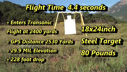 هدف زنی فوق دور برد با سلاح Sa...