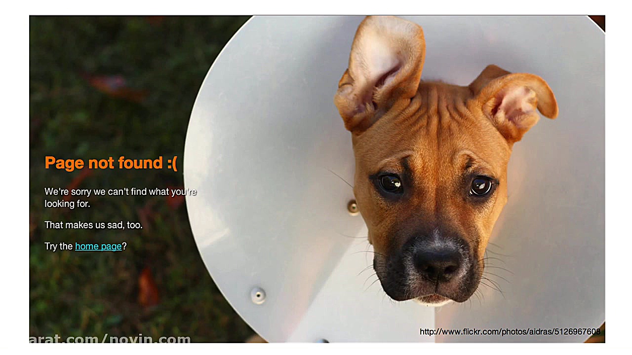 تدتاک  رنی گلیسون: 404، داستان...