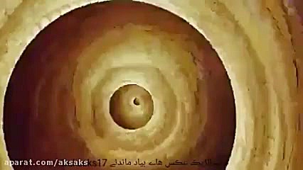 انیمیشن شکرستان