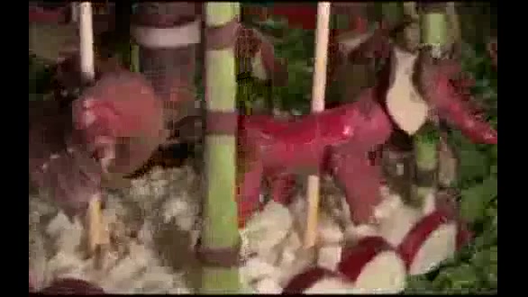 جشنواره تربچه های قرمز