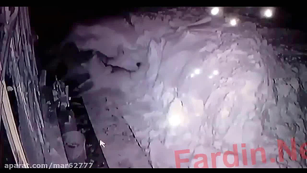 شکار سگ خانگی توسط گرگ های وحش...