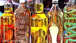 از شراب مار چیزی می دونید؟