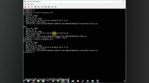 Esx Commands that Every VMWare...