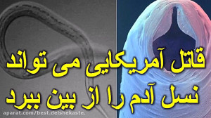 این موجود عجیب میتواند نسل انس...