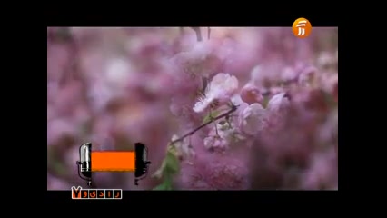 خواب بهزاد عبدی و خواب پریشون...