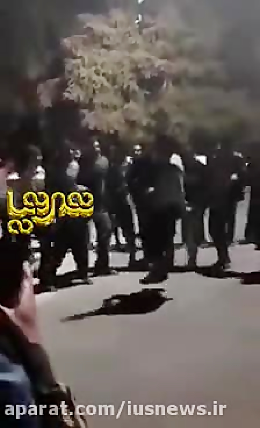 رقص کردی دانشجویان دانشگاه خوا...