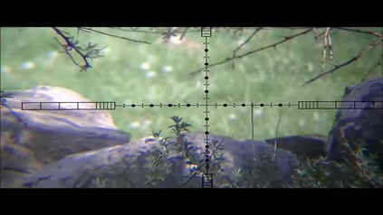 ویدیو زیبا شکار با تفنگ بادی